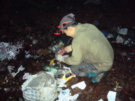 Rùng mình ở nơi bới quần áo và xác động vật đem bán